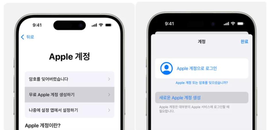 해결 방법 - 애플 ID 계정 확인 