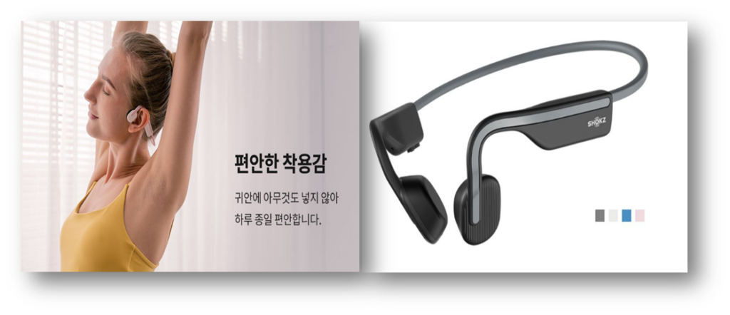 2. 샥즈(Shokz) OpenMove