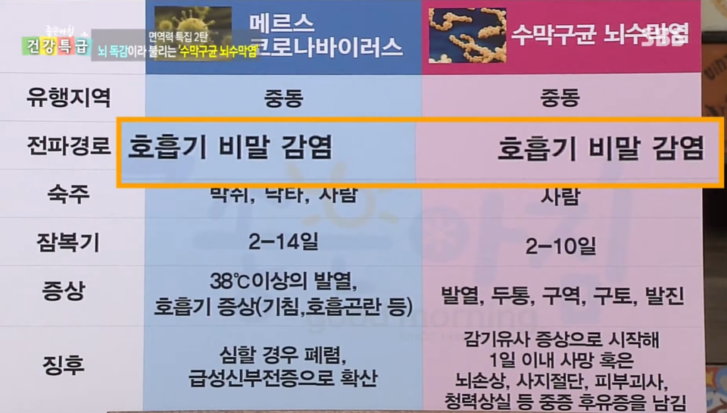 부산 중구 수막구균 예방접종 가격 및 저렴한 병원 어딘가요? 부산 중구 수막구균 예방접종 가격 및 저렴한 병원 어딘가요?